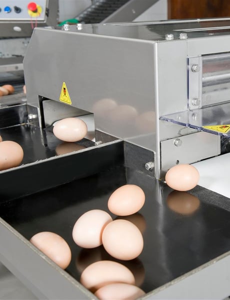 Solution detail egg handling - broiler breeders