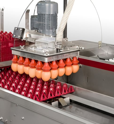 Solution detail egg handling layers - header (1)