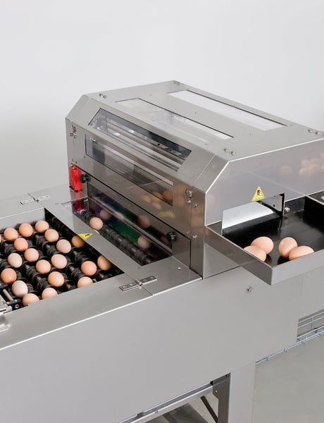 Solution egg handling broiler breeders (2)