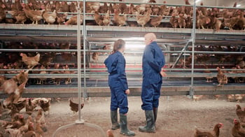 Perception of laying hen farmers, poultry veterinarians and other experts on current and future health and welfare monitoring